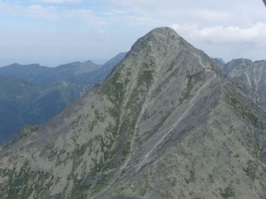 P1000545
